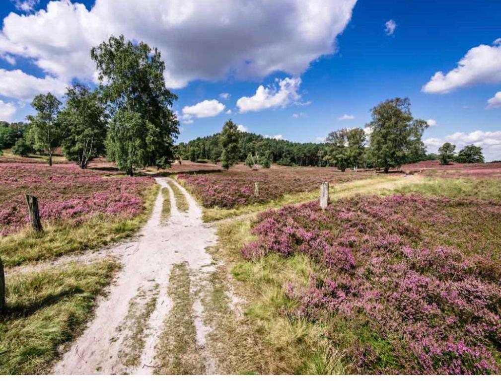 Feelslikehome - Reihenhaus Zwischen Hamburg Und Heide Mit Garten&Garage Neu Wulmstorf Bagian luar foto