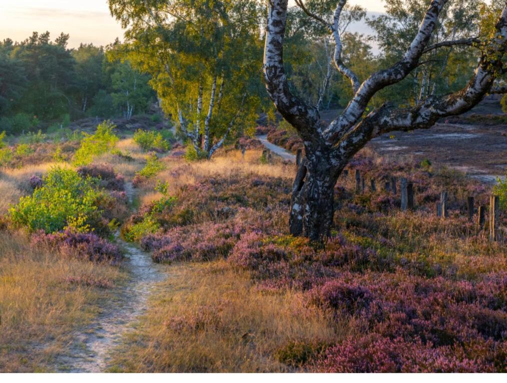 Feelslikehome - Reihenhaus Zwischen Hamburg Und Heide Mit Garten&Garage Neu Wulmstorf Bagian luar foto